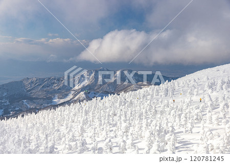 山形県　蔵王の樹氷 120781245