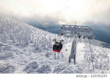 山形県 蔵王の樹氷 山形県 蔵王の樹氷 120781247