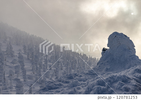 山形県　蔵王の樹氷 120781253