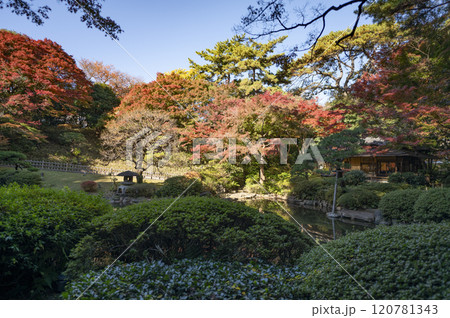 東京都庭園美術館庭園の茶室 120781343