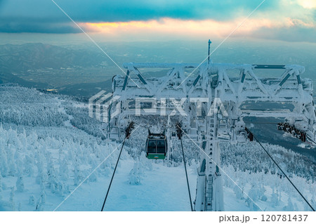 山形県　蔵王の樹氷 120781437