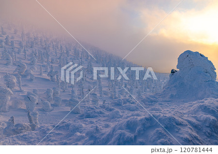 山形県　蔵王の樹氷 120781444