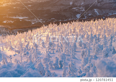 山形県　蔵王の樹氷 120781451
