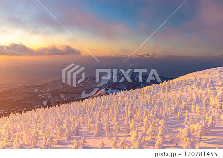 山形県 蔵王の樹氷 山形県 蔵王の樹氷 120781455