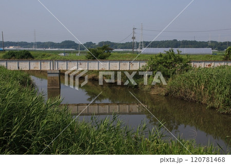 廃線となった関東鉄道鉾田線の鉄橋 廃線となった関東鉄道鉾田線の鉄橋 120781468