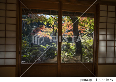 東京都庭園美術館庭園の茶室から見える日本庭園 120781675