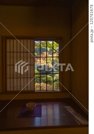 東京都庭園美術館庭園の茶室から見える日本庭園 120781678
