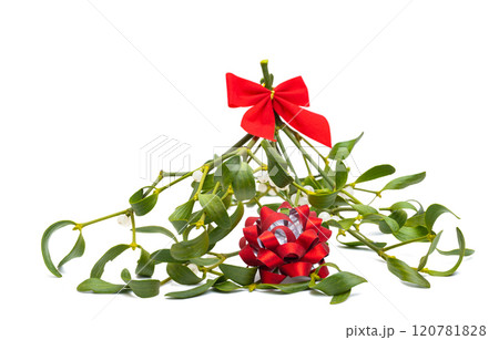 mistletoe branch isolated 120781828