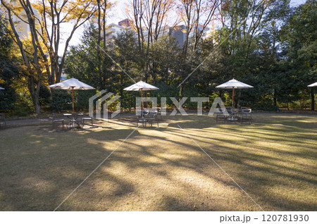 東京都庭園美術館西洋庭園 120781930