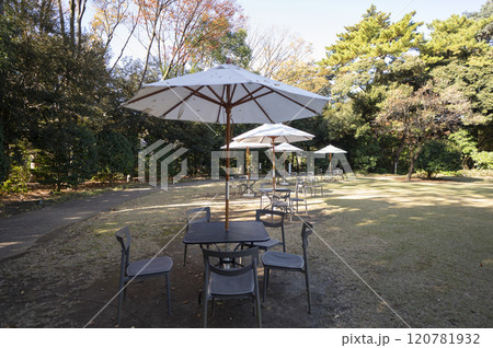 東京都庭園美術館西洋庭園 120781932