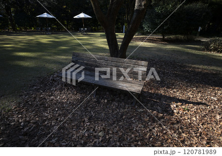 公園のベンチ 公園のベンチ 120781989