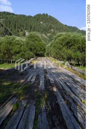 Old planks of a wooden bridge covered with moss at the foot of the mountains in the Altai Mountains 120782006