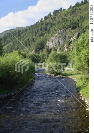 A shallow fast river at the foot of the mountains in the Altai Mountains 120782008