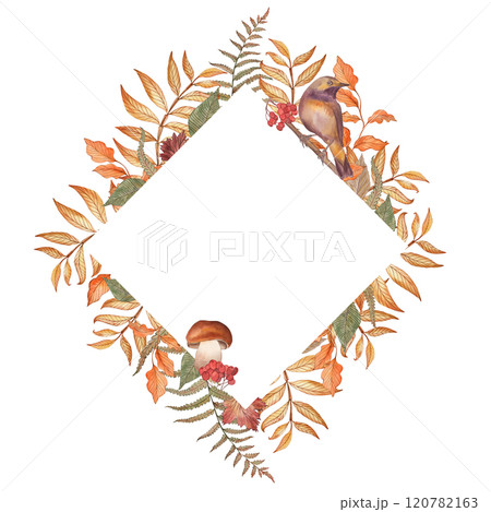 Autumn frame in the shape of a diamond with berries, branches and leaves of rowan, fern, mushrooms, birds The forest plants and the finch are hand-painted in watercolor in a botanical style 120782163