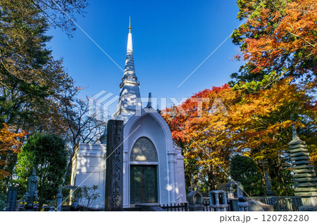 高尾山　高尾山薬王院　仏舎利塔（ぶっしゃりとう）　11月下旬 120782280