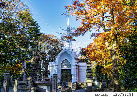 高尾山　高尾山薬王院　仏舎利塔（ぶっしゃりとう）　11月下旬 120782281