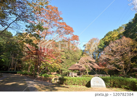 川崎市 宮前区 秋の東高根森林公園 川崎市 宮前区 秋の東高根森林公園 120782384