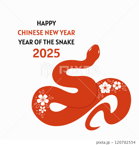 Chinese new year card with snake and flowers Chinese new year card with snake and flowers 120782554