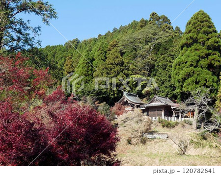 湯の鶴温泉神社 (『湯出神社』) (熊本県水俣市) 湯の鶴温泉神社 (『湯出神社』) (熊本県水俣市) 120782641