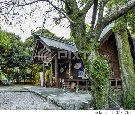 伊東 音無神社 拝殿 静岡県伊東市 伊東 音無神社 拝殿 静岡県伊東市 120782769