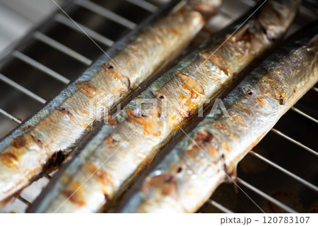 魚焼きグリルで焼いたさんま 120783107
