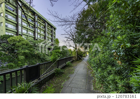 伊東　伊東遊季亭と松川遊歩道　静岡県伊東市 120783161