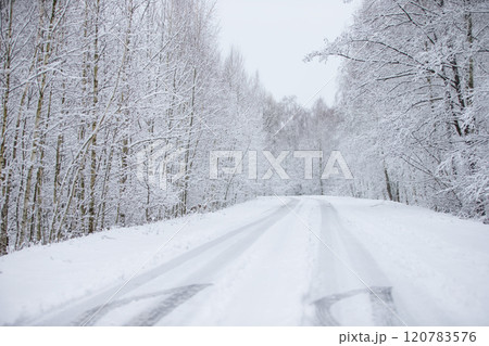 Winter forest landscape with a road going into the distance. 120783576