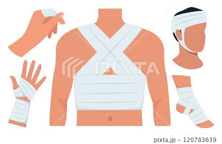Bandaged arms and legs. Set of medical bandages elastic bandages. Elements of health care, first aid. Vector illustration. 120783639
