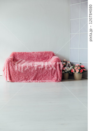 Pink sofa and flower baskets in the interior of a white living room Pink sofa and flower baskets in the interior of a white living room 120784080