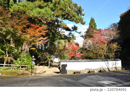 紅葉の大澤寺 紅葉の大澤寺 120784091