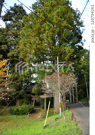 埼玉県皆野町上日野沢の八坂神社 120784261