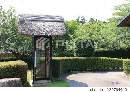 常陸風土記の丘の古代家屋復元広場の風景 120784446