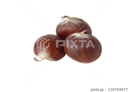 Three chestnut fruits group closeup isolated on white Three chestnut fruits group closeup isolated on white 120784677