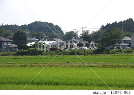 茨城県小美玉市の風景 茨城県小美玉市の風景 120784968