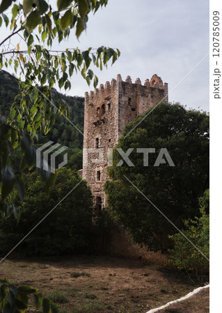 an ancient castle on the background of a forest 120785009