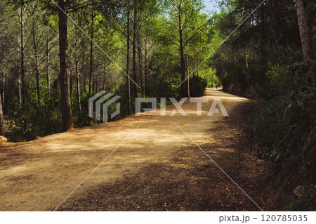 a deserted path in the mountains 120785035