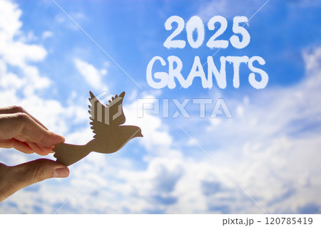 Planning 2025 grants new year symbol. Concept words 2025 Grants on beautiful blue sky. Beautiful blue sky clouds background. Hand with wooden bird. Business 2025 grants new year concept. Copy space. 120785419