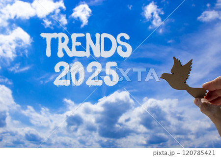 Planning trends 2025 new year symbol. Concept words Trends 2025 on beautiful blue sky. Beautiful blue sky clouds background. Hand holds wooden bird. Business trends 2025 new year concept. Copy space. 120785421