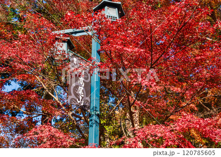 秋の高尾山　清滝駅前の紅葉 120785605