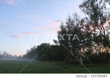 Foggy evening. Rural field with wildflowers. 120785884