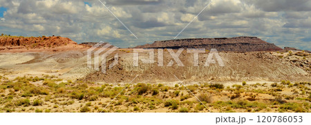 Panorama Bleak Landscape Petrified Forest National Park Arizona 120786053