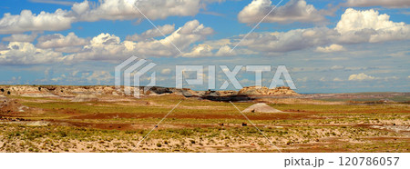 Panorama Bleak Landscape Petrified Forest National Park Arizona 120786057