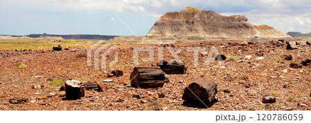 Panorama Bleak Landscape Petrified Forest National Park Arizona Panorama Bleak Landscape Petrified Forest National Park Arizona 120786059