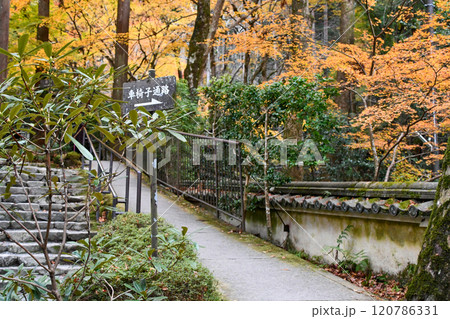 京都 大原 三千院 車椅子通路 バリアフリー 120786331
