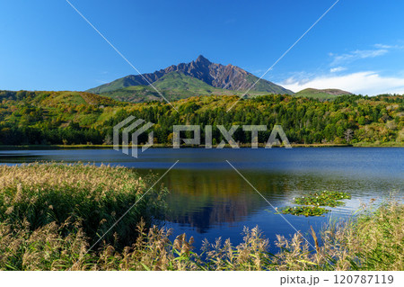 利尻島オタトマリ沼　日本百名山　北海道離島の絶景 120787119