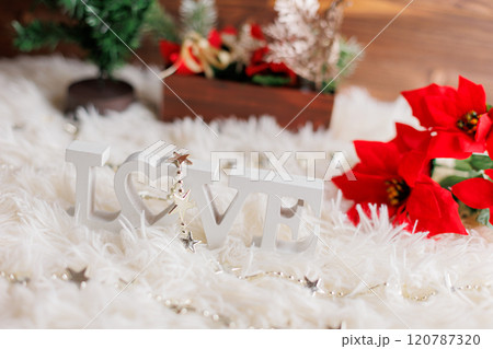 クリスマス 120787320