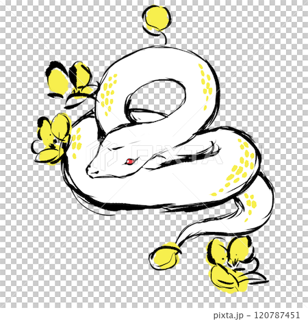 白蛇のかっこいいイラスト 白蛇のかっこいいイラスト 120787451