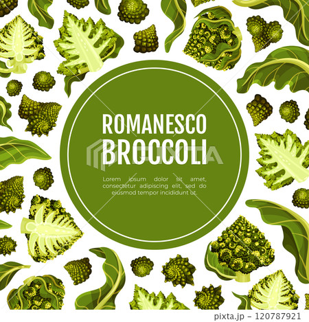 Romanesco Cabbage Banner Design with Bright Green Leaf Vector Template 120787921