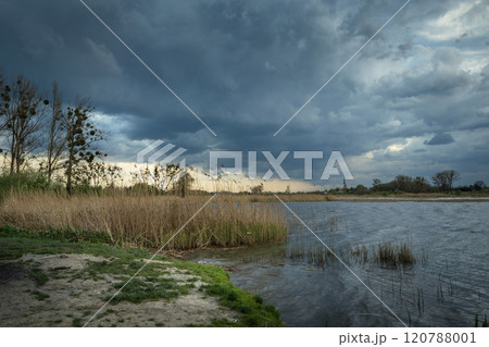 Lake shore with reeds and a cloudy rainy sky Lake shore with reeds and a cloudy rainy sky 120788001