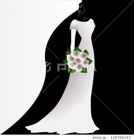 Illustration of beauty black and white background with bride with a bouquet of flowers. 120788283